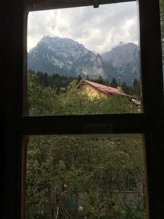 Гостевой дом Bucegi View Буштени Апартаменты с видом на горы-9